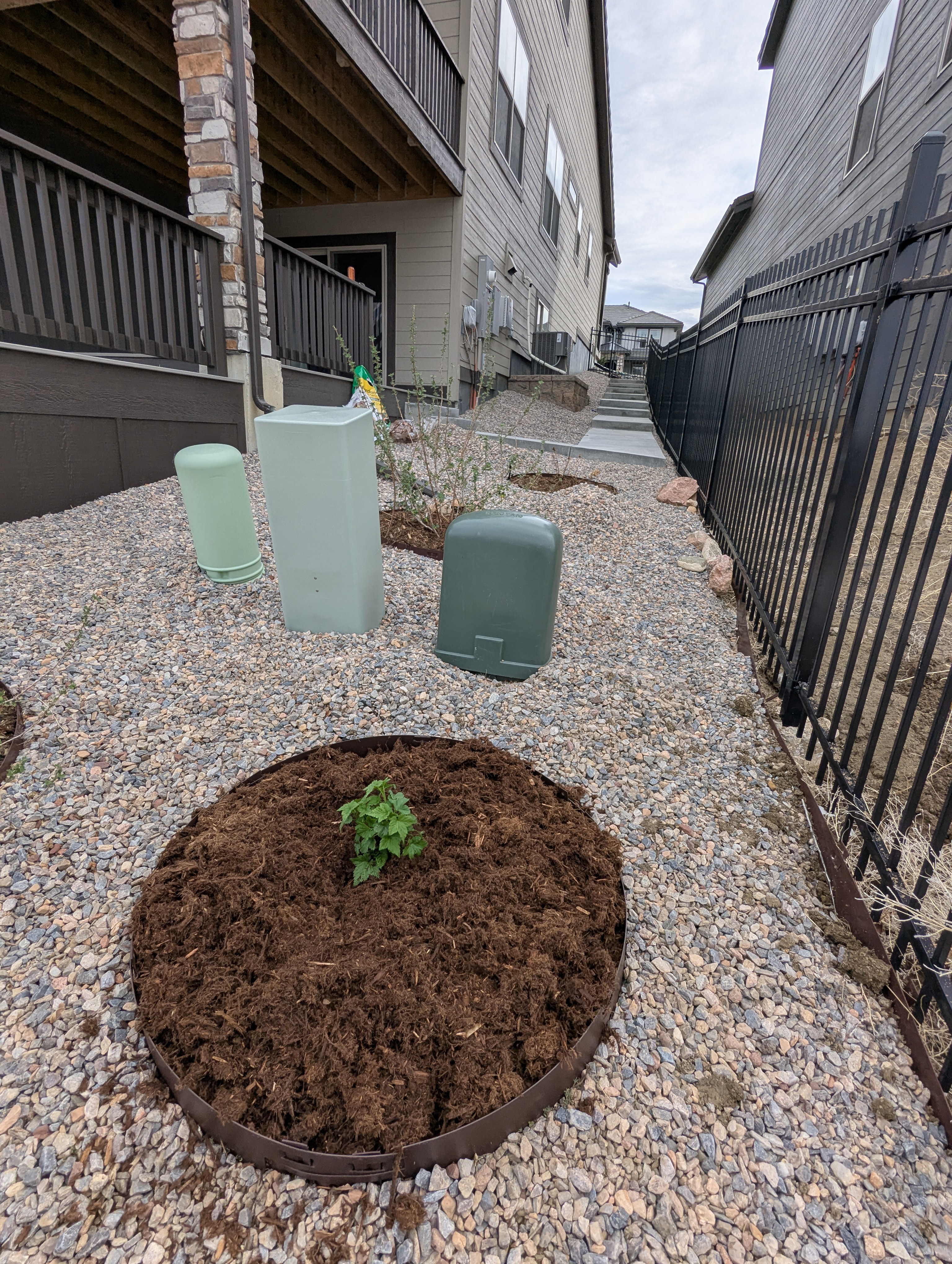Garden, Flowers, Morrison, Colorado